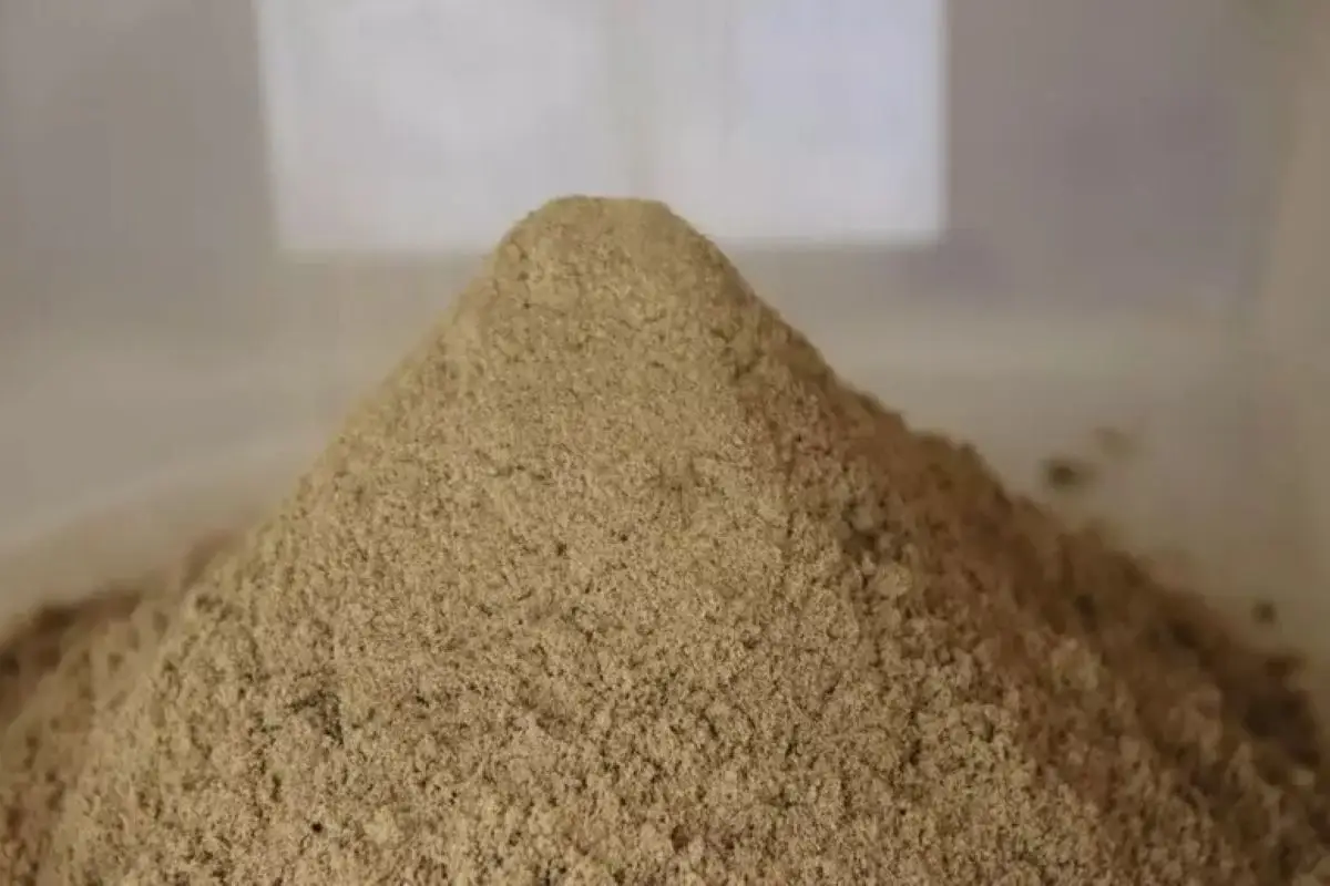 Scopri la sabbia ideale per piante più sane e robuste: la guida definitiva