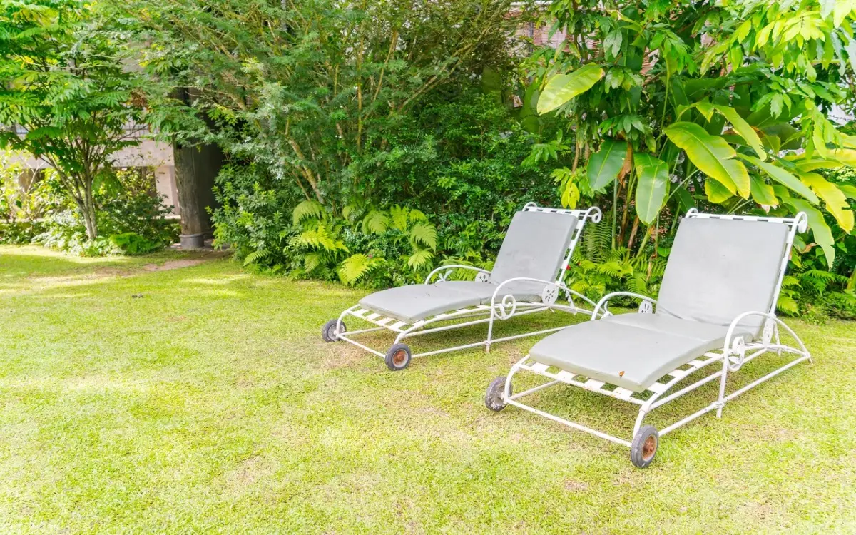 Hai il giardino che si allaga o resta sempre umido? Ecco le piante che resistono senza marcire