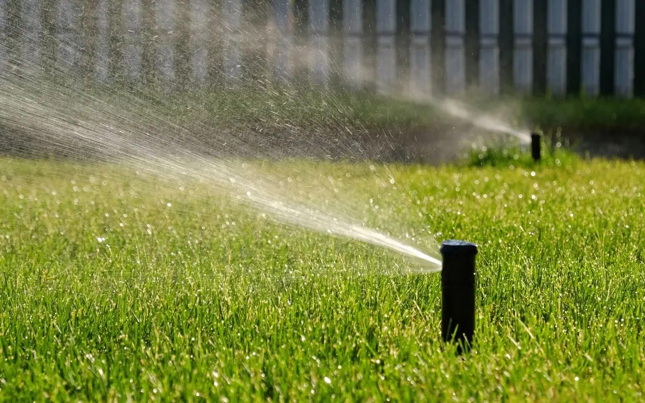 Ecco il metodo preciso per calcolare il numero di irrigatori necessari nel tuo giardino