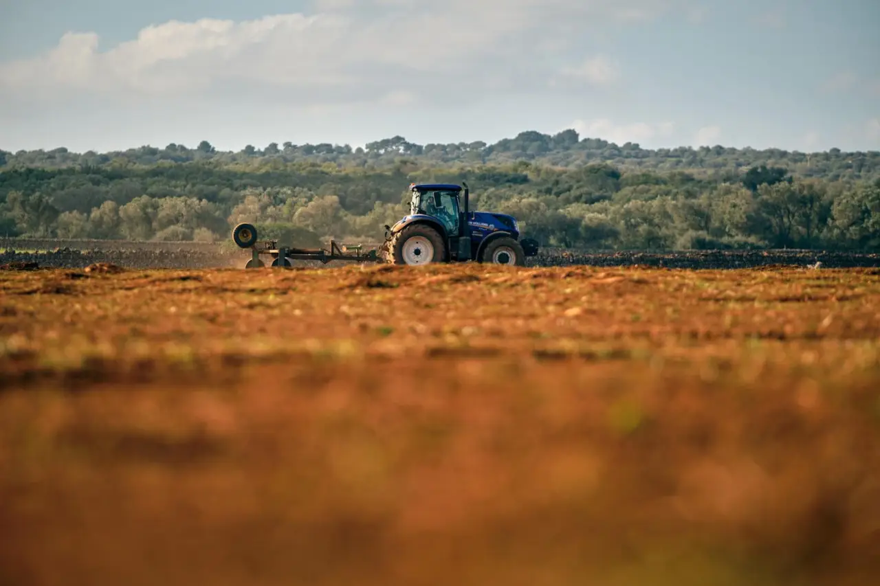 Vivere al piano terra? Ecco quanto vale in meno la tua casa secondo le ultime stime